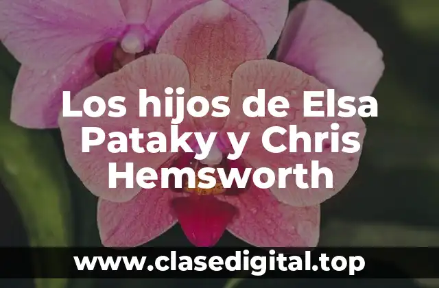 Los hijos de Elsa Pataky y Chris Hemsworth