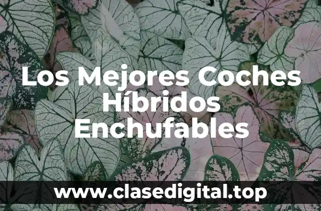 Los Mejores Coches Híbridos Enchufables