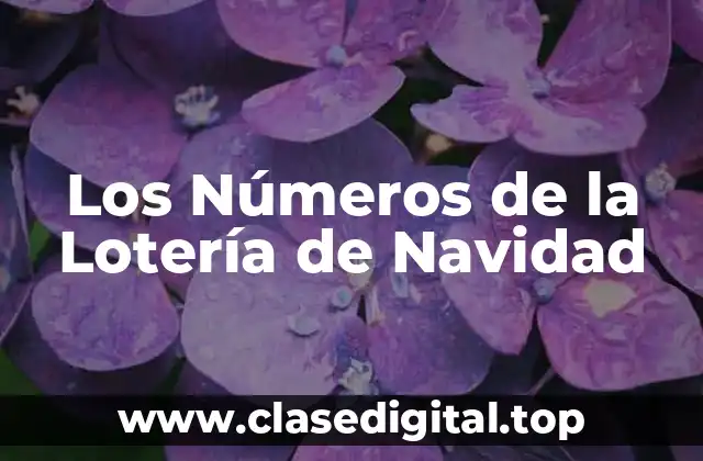 Los Números de la Lotería de Navidad