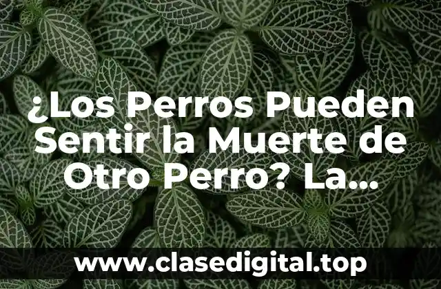 ¿Los Perros Pueden Sentir la Muerte de Otro Perro? La Verdad Revelada