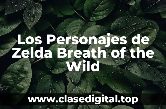 Los Personajes de Zelda Breath of the Wild
