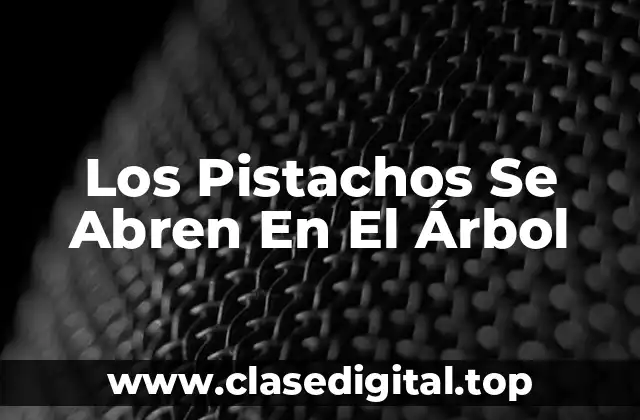 Cómo Crece un Pistacho