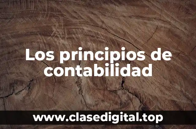 Ejemplos de principios de contabilidad