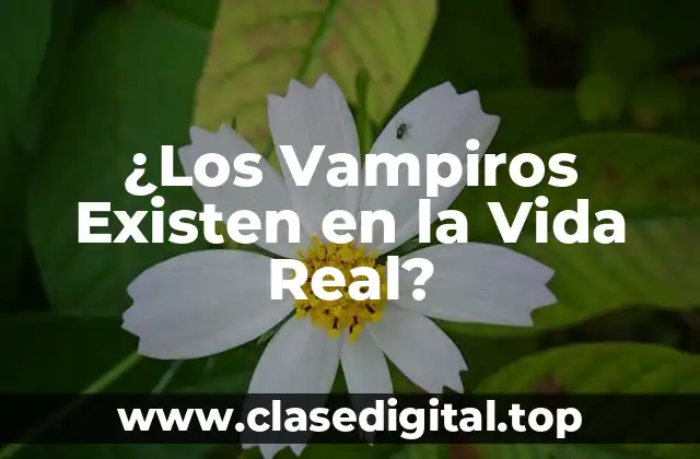 ¿Los Vampiros Existen en la Vida Real?