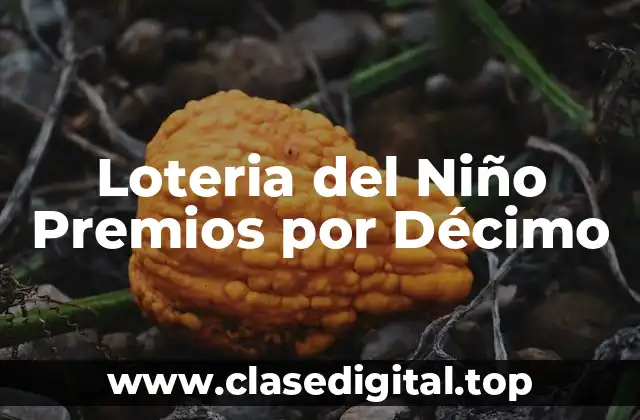 Loteria del Niño Premios por Décimo