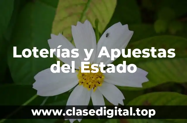 ¿Cómo Funcionan las Loterías y Apuestas del Estado?