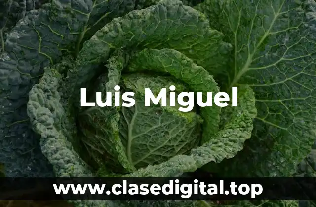 Luis Miguel