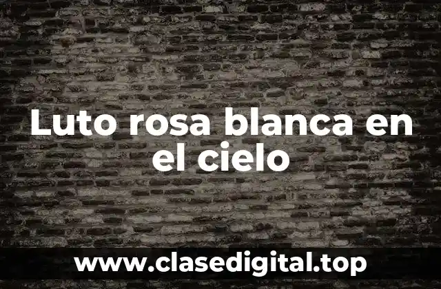 Luto rosa blanca en el cielo