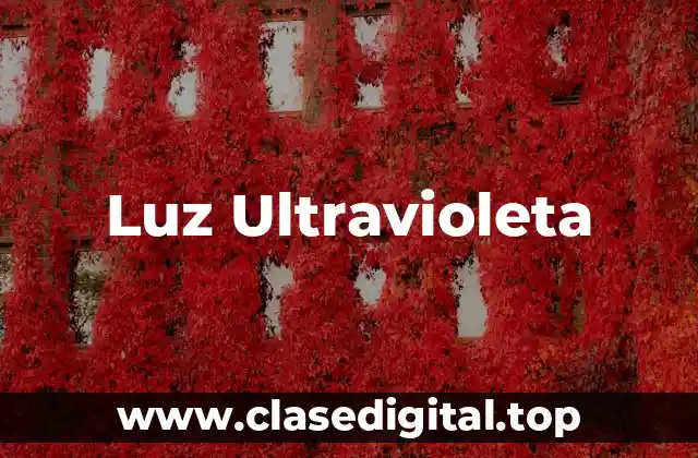 Luz Ultravioleta