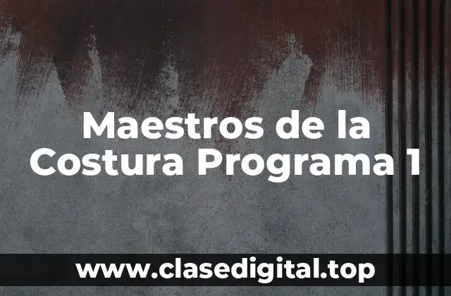 ¿Qué es Maestros de la Costura Programa 1?
