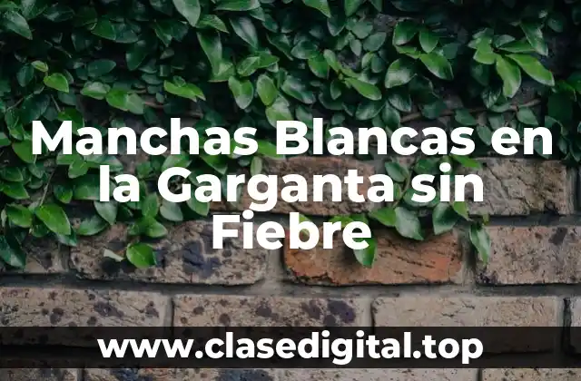 ¿Qué son las Manchas Blancas en la Garganta?