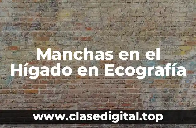 Manchas en el Hígado en Ecografía