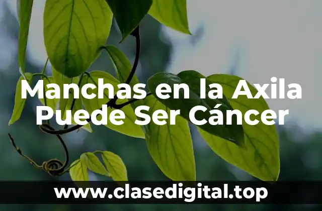 Manchas en la Axila Puede Ser Cáncer