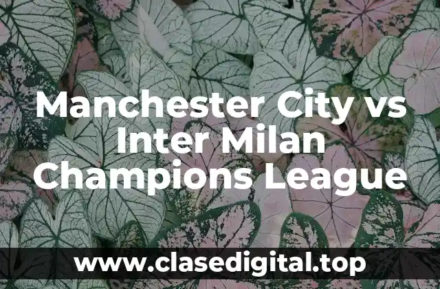 Historia de Manchester City en la Champions League