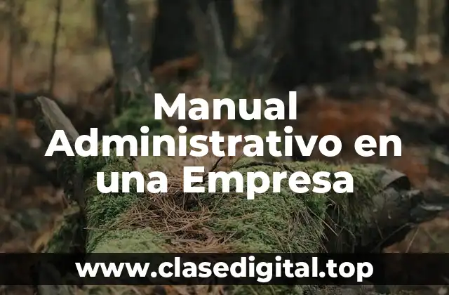 Manual Administrativo en una Empresa