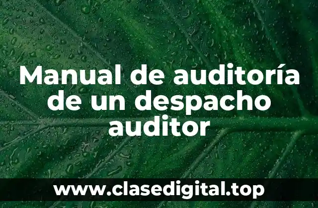Manual de auditoría de un despacho auditor