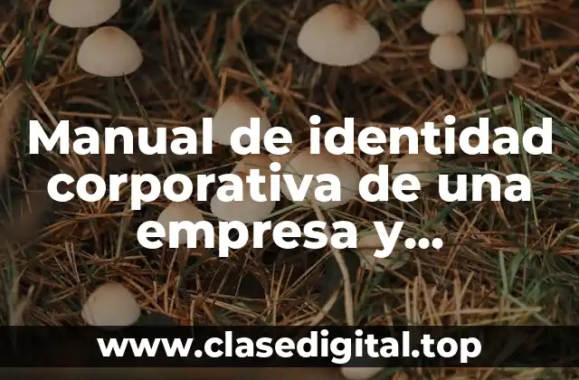 Manual de identidad corporativa de una empresa y Significado