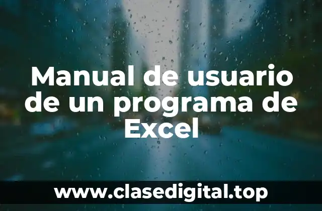 Manual de usuario de un programa de Excel