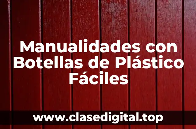 Manualidades con Botellas de Plástico Fáciles
