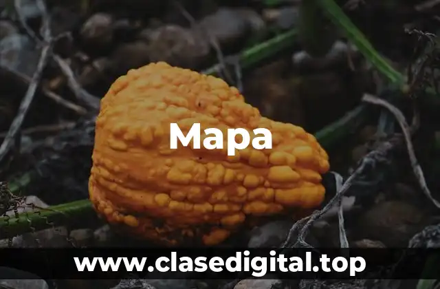 ¿Cómo se utilizan páginas en ASP.NET?