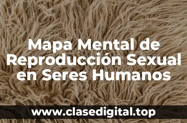 Mapa Mental de Reproducción Sexual en Seres Humanos