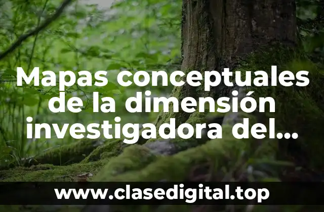 Mapas conceptuales de la dimensión investigadora del profesor
