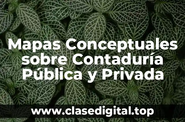 Mapas Conceptuales sobre Contaduría Pública y Privada