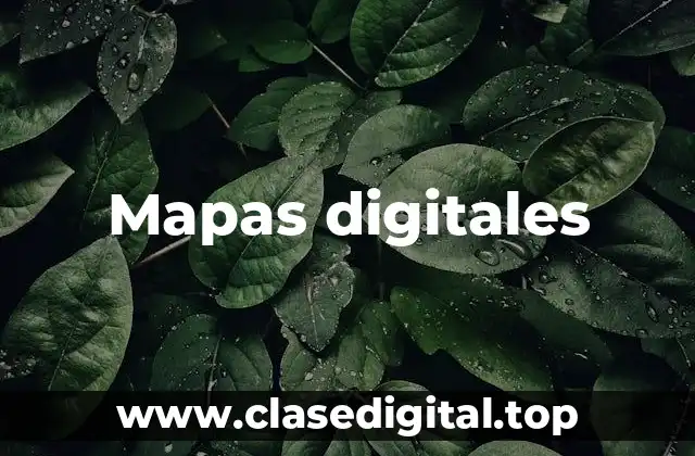 Ejemplos de mapas digitales