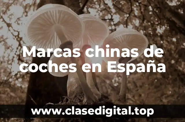 ¿Cuáles son las marcas chinas de coches más populares en España?