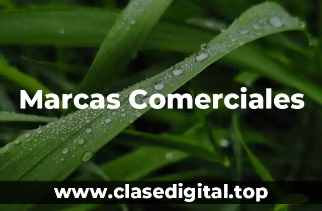 Ejemplos de Marcas Comerciales