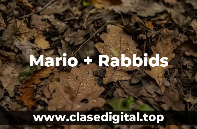 Mario + Rabbids
