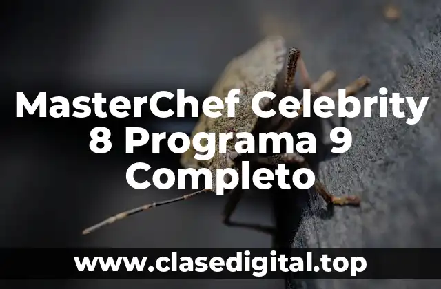 MasterChef Celebrity 8 Programa 9 Completo