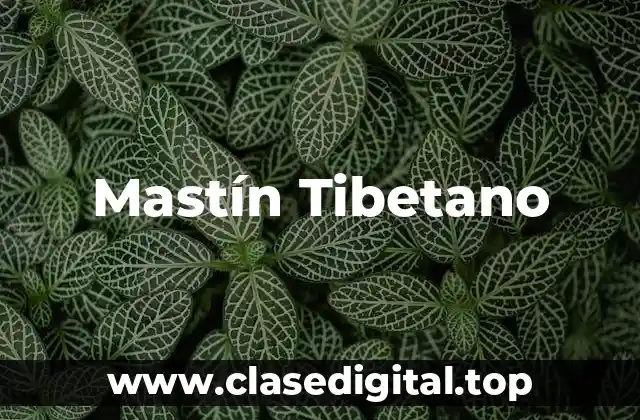 Orígenes y Historia del Mastín Tibetano
