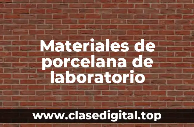 Materiales de porcelana de laboratorio