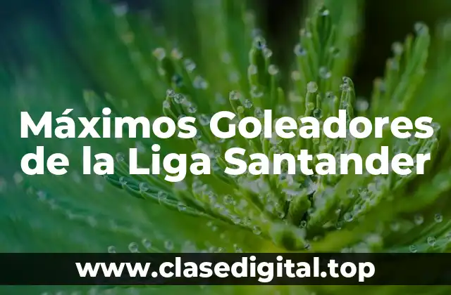 Máximos Goleadores de la Liga Santander