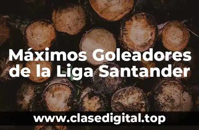 Máximos Goleadores de la Liga Santander