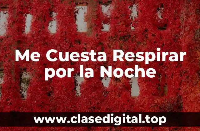 Me Cuesta Respirar por la Noche