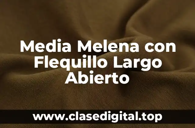 Media Melena con Flequillo Largo Abierto