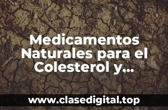 ¿Cuáles son los Beneficios de los Medicamentos Naturales para el Colesterol y Triglicéridos Altos?