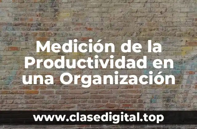 Medición de la Productividad en una Organización