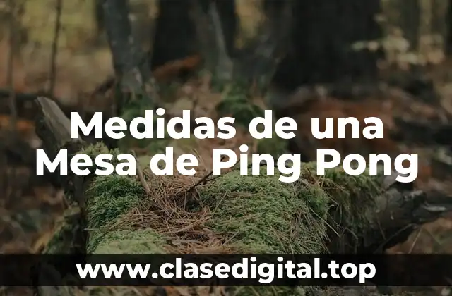 Medidas de una Mesa de Ping Pong