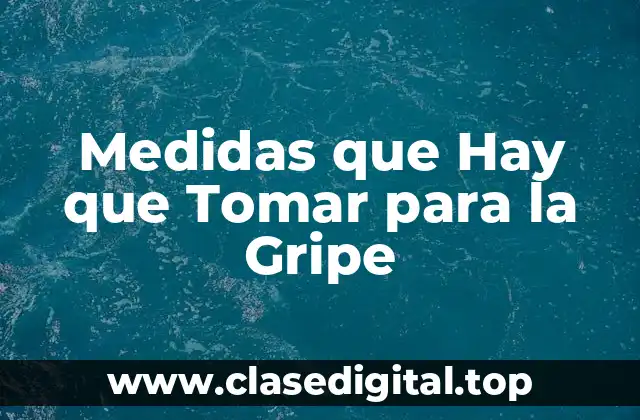 Medidas que Hay que Tomar para la Gripe