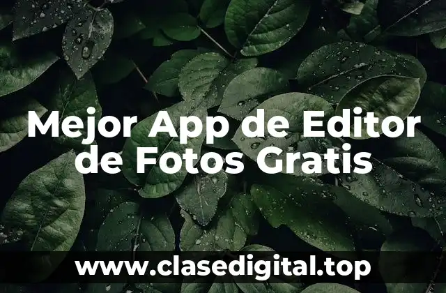 ¿Qué Buscas en una App de Editor de Fotos Gratis?