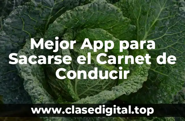 Mejor App para Sacarse el Carnet de Conducir