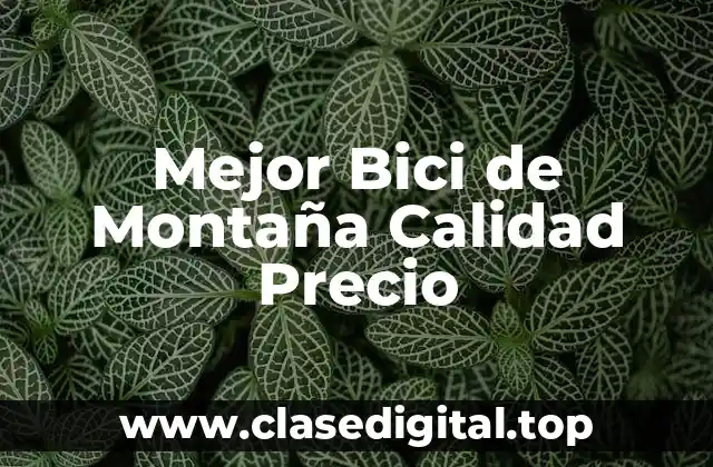 Características Clave de una Bici de Montaña de Alta Calidad