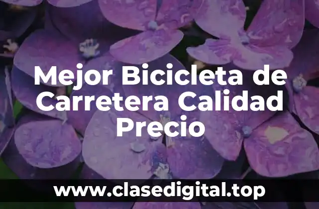 Mejor Bicicleta de Carretera Calidad Precio
