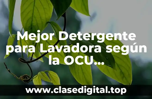 Mejor Detergente para Lavadora según la OCU (Organización de Consumidores y Usuarios)