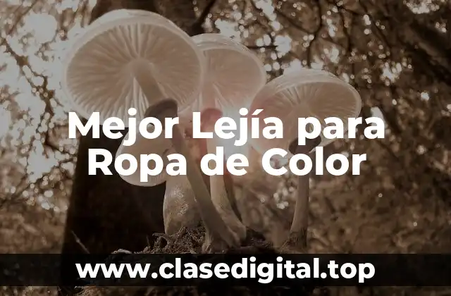 Mejor Lejía para Ropa de Color