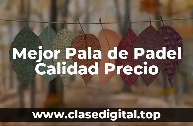 Mejor Pala de Padel Calidad Precio