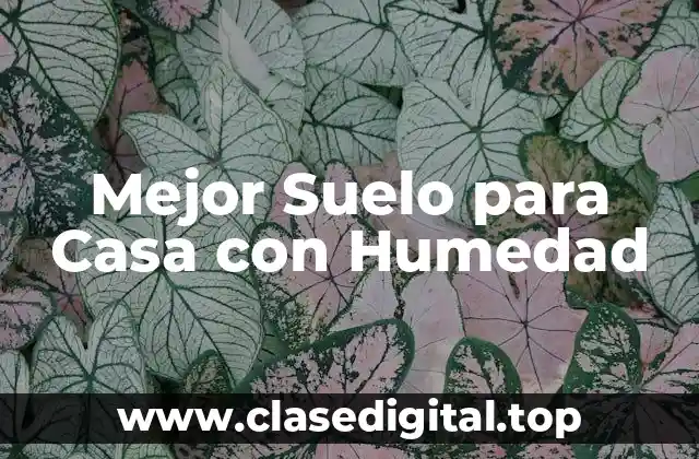 Mejor Suelo para Casa con Humedad